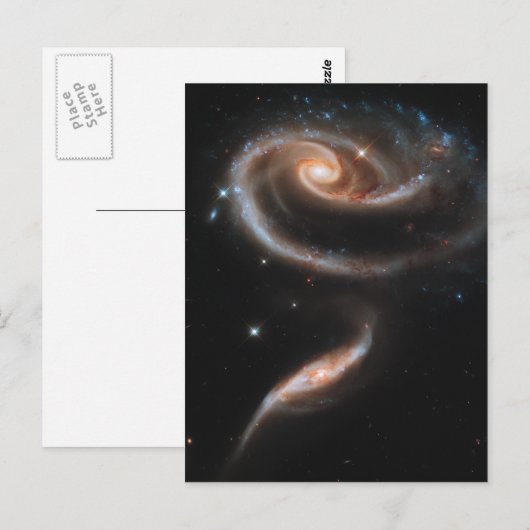 Roos van melkwegen briefkaart (Voorkant / Achterkant)