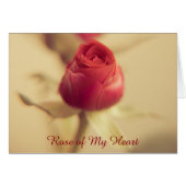 Roos van mijn hart (Voorkant Horizontaal)