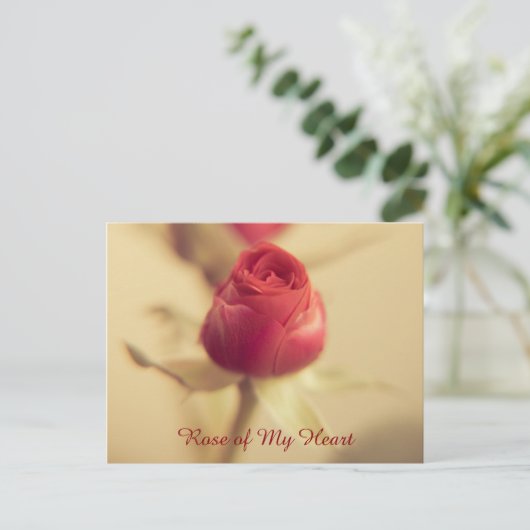 Roos van mijn hart briefkaart (Staand voorkant)