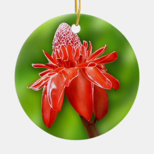 Roos van rode carriboon Exotic Flower Keramisch Ornament (Voorkant)