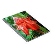 Roos van rode carriboon Exotic Flower Notitieboek (Rechterzijde)
