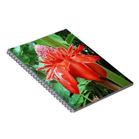 Roos van rode carriboon Exotic Flower Notitieboek (Rechterzijde)