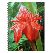 Roos van rode carriboon Exotic Flower Notitieboek (Voorkant)
