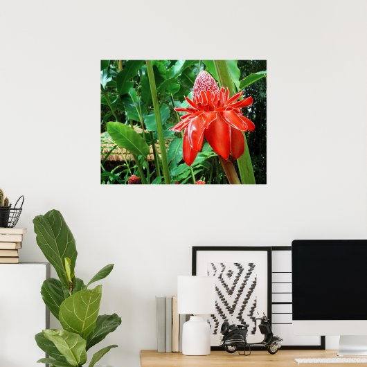 Roos van rode carriboon Exotic Flower Poster (Thuiskantoor)