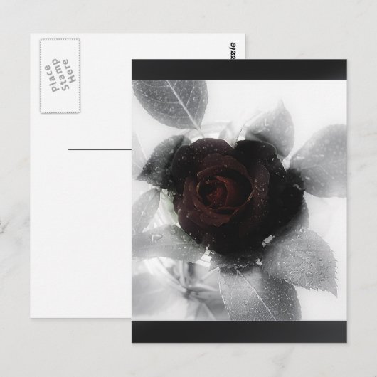 Roos van rouwgeheugen briefkaart (Voorkant / Achterkant)