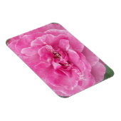 Roos van roze tuin magneet (Rechterzijde)