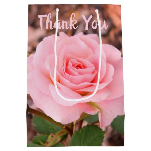 Roos van roze tuin medium cadeauzakje (Achterkant)