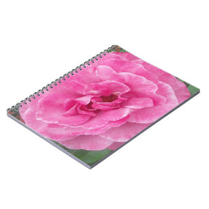 Roos van roze tuin notitieboek