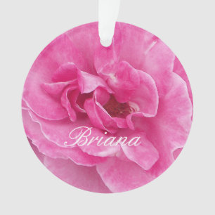 Roos van roze tuin ornament