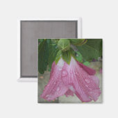 Roos van Sharon bloemblaadjes met regendruppels ma Magneet (Voorkant / Achterkant)