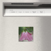 Roos van Sharon bloemblaadjes met regendruppels ma Magneet (Insitu (Vaatwasser))