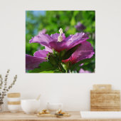 Roos van Sharon-bloemen Poster (Keuken)