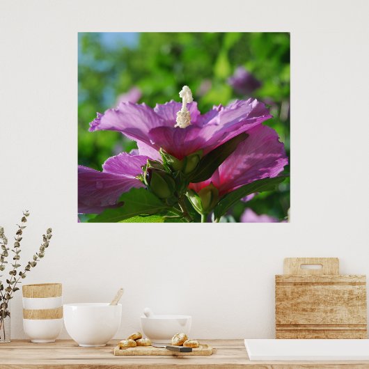 Roos van Sharon-bloemen Poster (Keuken)