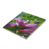 Roos van Sharon-bloemen Tegeltje (Zijkant)