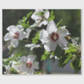 Roos van Sharon Cadeaupapier (Vlak)