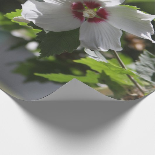 Roos van Sharon Cadeaupapier (Hoek)