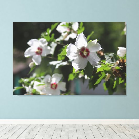 Roos van Sharon Canvas Print (Insitu (Houten vloer))