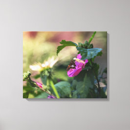 Roos van Sharon en bezoeker Canvas Afdruk