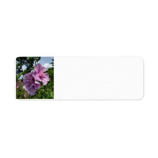 Roos van Sharon Etiket (Voorkant)
