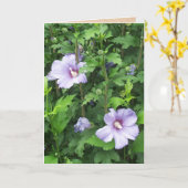 Roos van Sharon Hibiscus Flowers Kaart (Gele Bloem)
