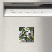 Roos van Sharon Magnet (Insitu (Vaatwasser))