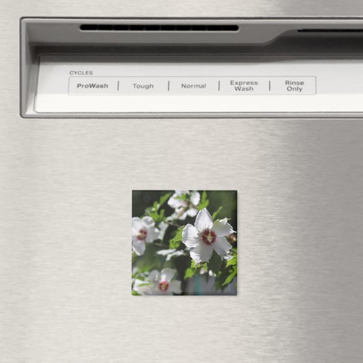 Roos van Sharon Magnet (Insitu (Vaatwasser))