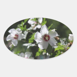 Roos van Sharon Ovale Sticker