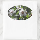 Roos van Sharon Ovale Sticker (Tas)