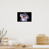 roos van sharon poster (Keuken)