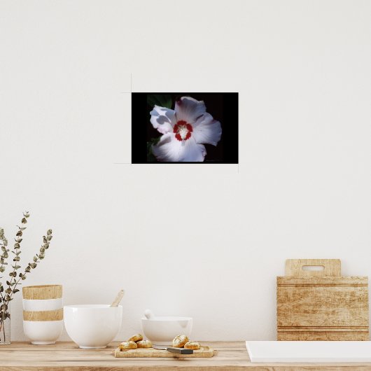 roos van sharon poster (Keuken)