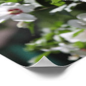 Roos van Sharon-Posters Poster (Hoek)