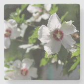 Roos van Sharon Stenen Onderzetter (Voorkant)