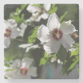 Roos van Sharon Stenen Onderzetter