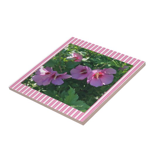 Roos van Sharon Striped Tegeltje (Zijkant)