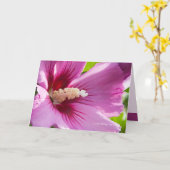 Roos van Sharron Kaart (Gele Bloem)