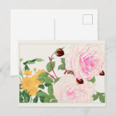 Roos van Tanigami Konan Briefkaart (Voorkant / Achterkant)