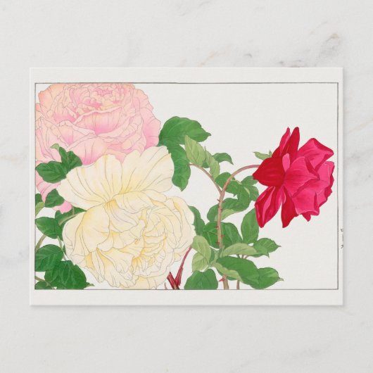 Roos van Tanigami Konan Briefkaart (Voorkant)