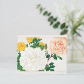 Roos van Tanigami Konan Briefkaart (Staand voorkant)