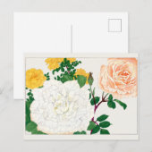 Roos van Tanigami Konan Briefkaart (Voorkant / Achterkant)