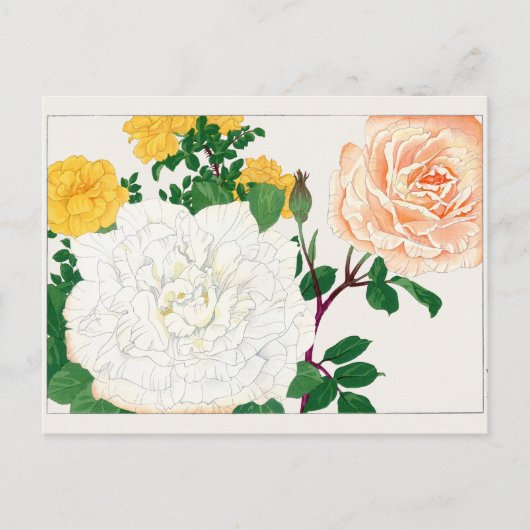 Roos van Tanigami Konan Briefkaart (Voorkant)