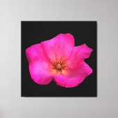 Roos van viltpen canvas afdruk (Voorkant)