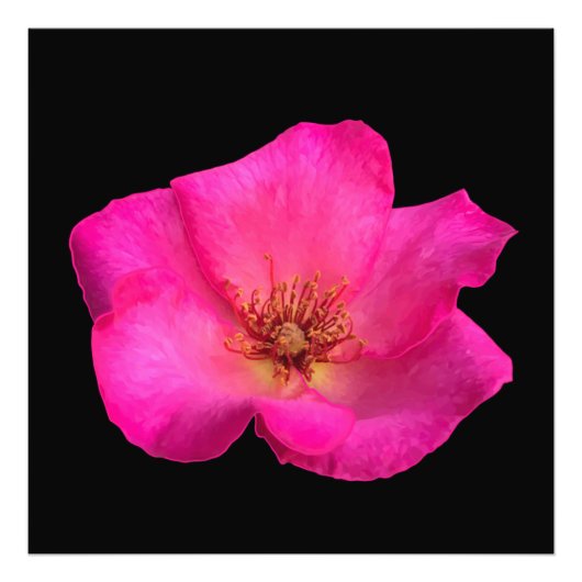 Roos van viltpen foto afdruk (Voorkant)