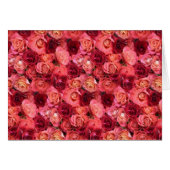 ROOS VELD (Voorkant Horizontaal)