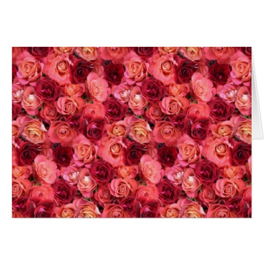 ROOS VELD (Voorkant Horizontaal)