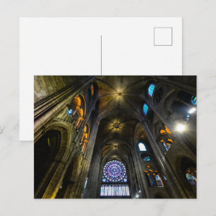 Roos Venster Plafondnotre Dame Cathedraal Briefkaart