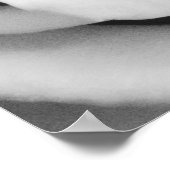 Roos ventilator Black and White Photography Poster (Hoek)