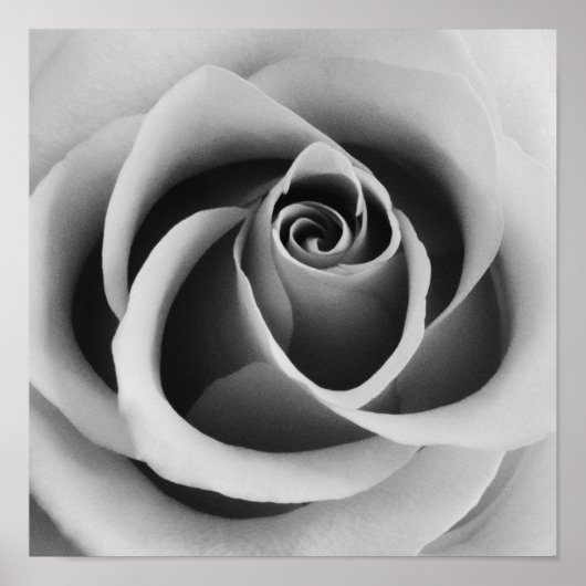 Roos ventilator Black and White Photography Poster (Voorkant)