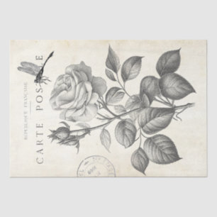 Roos ventilatordragonfly Franse poststempel ontkop Tissuepapier