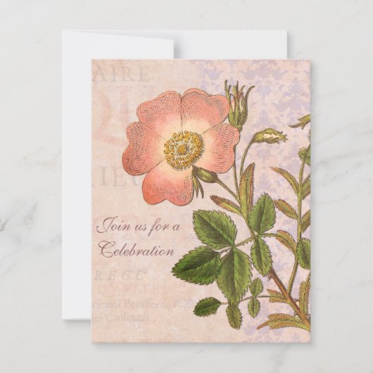  Roos verjaardagsfeestje Kaart (Voorkant)