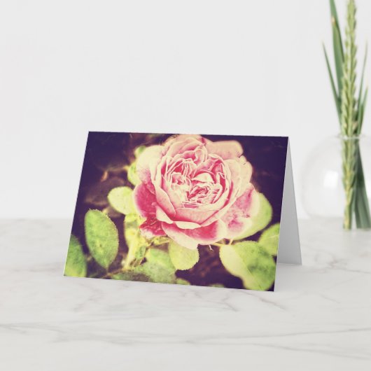 Roos vintage kaart (Voorkant)